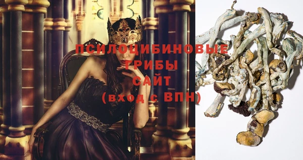 метамфетамин Аркадак