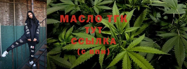 тгк Арсеньев