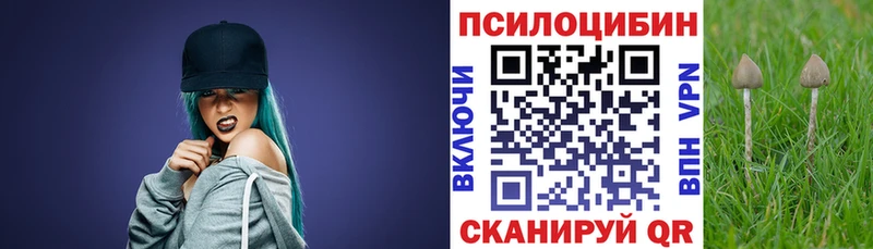 shop состав Облучье Галлюциногенные грибы MAGIC MUSHROOMS